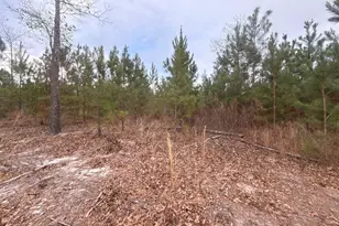 Qbf 9 Quattlebaum Road Qbf 9, Leesville, SC 29070 - Photo 1