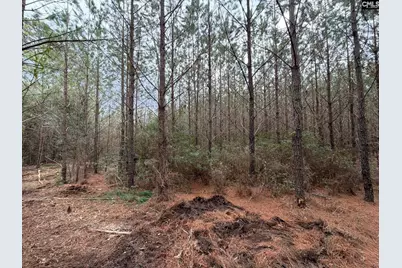 Bff II 2 Jc Barefoot Road Bff II 2, Patrick, SC 29854 - Photo 2