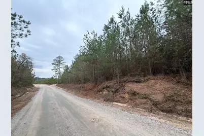 Bff II 2 Jc Barefoot Road Bff II 2, Patrick, SC 29854 - Photo 6