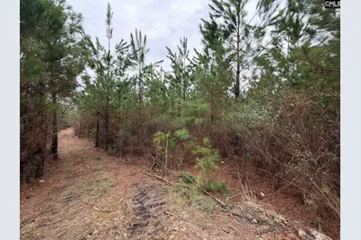 Bff II 3 Jc Barefoot Road Bff II 3, Patrick, SC 29854 - Photo 10