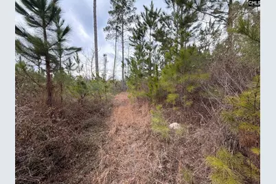 Bff II 3 Jc Barefoot Road Bff II 3, Patrick, SC 29854 - Photo 18