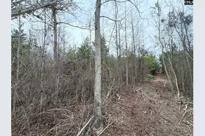 Bff II 4 Jc Barefoot Road Bff II 4, Patrick, SC 29854 - Photo 20