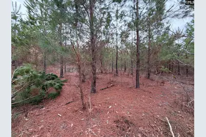 Bff II 4 Jc Barefoot Road Bff II 4, Patrick, SC 29854 - Photo 28