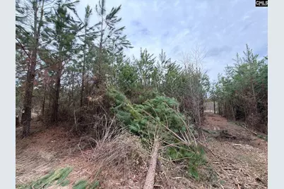 Bff II 4 Jc Barefoot Road Bff II 4, Patrick, SC 29854 - Photo 14