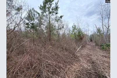 Bff II 4 Jc Barefoot Road Bff II 4, Patrick, SC 29854 - Photo 22