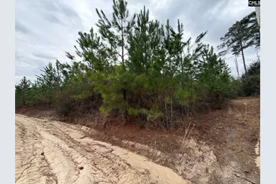 Bff II 4 Jc Barefoot Road Bff II 4, Patrick, SC 29854 - Photo 8