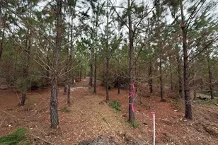 Bff II 4 Jc Barefoot Road Bff II 4, Patrick, SC 29854 - Photo 1