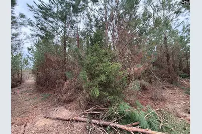 Bff II 4 Jc Barefoot Road Bff II 4, Patrick, SC 29854 - Photo 16