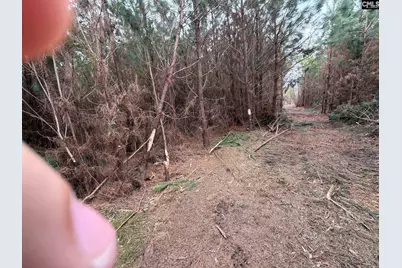 Bff II 4 Jc Barefoot Road Bff II 4, Patrick, SC 29854 - Photo 26