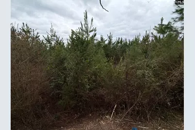 Bff II 4 Jc Barefoot Road Bff II 4, Patrick, SC 29854 - Photo 4