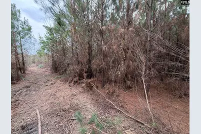 Bff II 4 Jc Barefoot Road Bff II 4, Patrick, SC 29854 - Photo 18