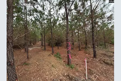 Bff II 4 Jc Barefoot Road Bff II 4, Patrick, SC 29854 - Photo 30