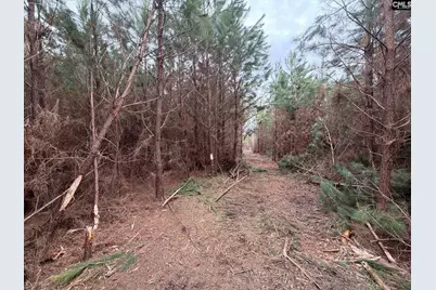 Bff II 4 Jc Barefoot Road Bff II 4, Patrick, SC 29854 - Photo 24