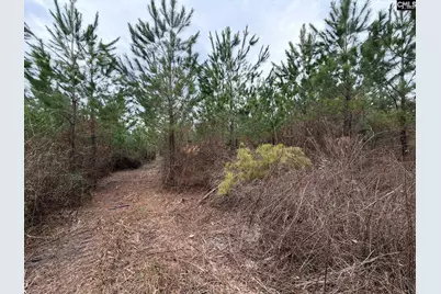 Bff II 5 Brunson Teal Road Bff II 5, Patrick, SC 29854 - Photo 26