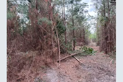 Bff II 5 Brunson Teal Road Bff II 5, Patrick, SC 29854 - Photo 22