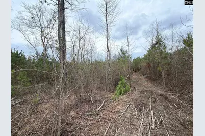 Bff II 5 Brunson Teal Road Bff II 5, Patrick, SC 29854 - Photo 8