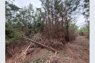 Bff II 5 Brunson Teal Road Bff II 5, Patrick, SC 29854 - Photo 24