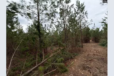 Bff II 5 Brunson Teal Road Bff II 5, Patrick, SC 29854 - Photo 18