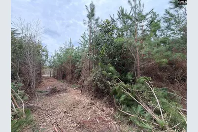 Bff II 5 Brunson Teal Road Bff II 5, Patrick, SC 29854 - Photo 6