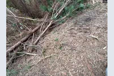 Bff II 5 Brunson Teal Road Bff II 5, Patrick, SC 29854 - Photo 12