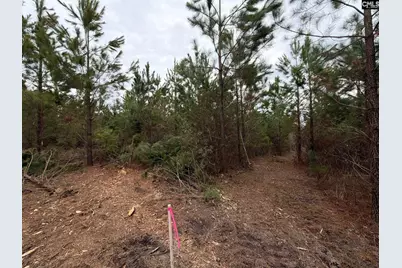 Bff II 5 Brunson Teal Road Bff II 5, Patrick, SC 29854 - Photo 20