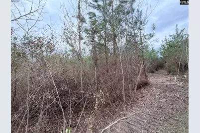 Bff II 5 Brunson Teal Road Bff II 5, Patrick, SC 29854 - Photo 10