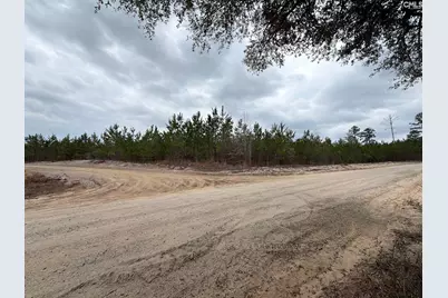 Bff II 5 Brunson Teal Road Bff II 5, Patrick, SC 29854 - Photo 2