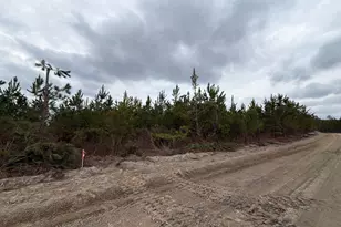 Bff II 5 Brunson Teal Road Bff II 5, Patrick, SC 29854 - Photo 1