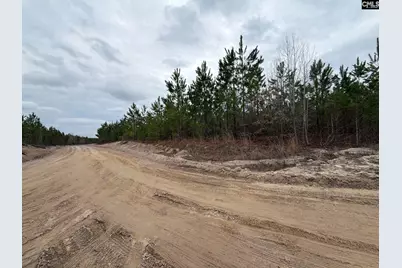 Bff II 5 Brunson Teal Road Bff II 5, Patrick, SC 29854 - Photo 4