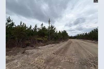 Bff II 5 Brunson Teal Road Bff II 5, Patrick, SC 29854 - Photo 28