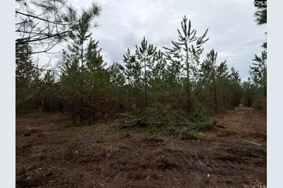 Bff II 5 Brunson Teal Road Bff II 5, Patrick, SC 29854 - Photo 16