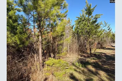 Bff II 6 Brunson Teal Road Bff II 6, Patrick, SC 29854 - Photo 18