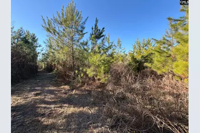 Bff II 6 Brunson Teal Road Bff II 6, Patrick, SC 29854 - Photo 16