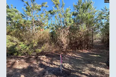 Bff II 6 Brunson Teal Road Bff II 6, Patrick, SC 29854 - Photo 6