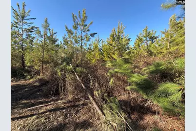 Bff II 6 Brunson Teal Road Bff II 6, Patrick, SC 29854 - Photo 14