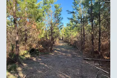 Bff II 6 Brunson Teal Road Bff II 6, Patrick, SC 29854 - Photo 1