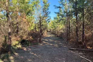 Bff II 6 Brunson Teal Road Bff II 6, Patrick, SC 29854 - Photo 1