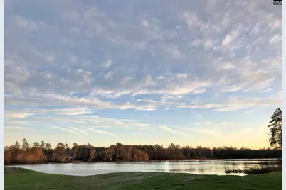 405 Litchfield Lane, Lexington, SC 29072 - Photo 38