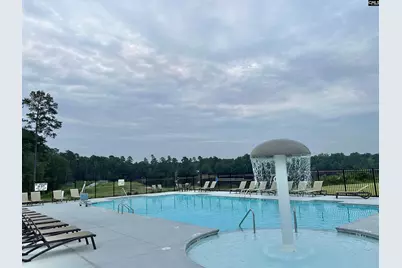 405 Litchfield Lane, Lexington, SC 29072 - Photo 36