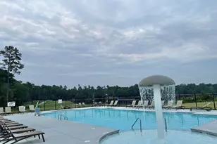 405 Litchfield Ln, Lexington, SC 29072 - Photo 36