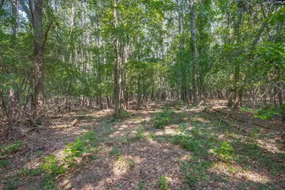 637 Belfast Road, Newberry, SC 29108 - Photo 34