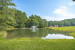 637 Belfast Rd, Newberry, SC 29108 - Photo 28