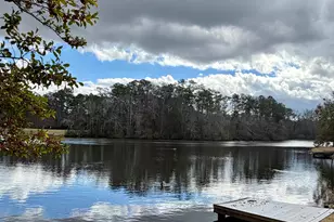 74 Ridge Lake Dr, Columbia, SC 29209 - Photo 30