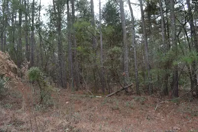 1909 Whitting Green Lane, Lugoff, SC 29078 - Photo 2