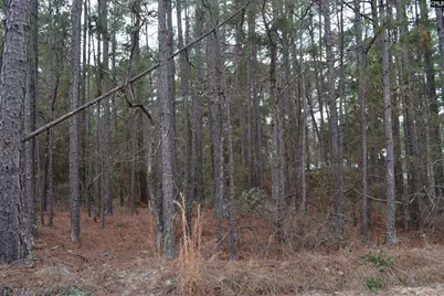 1909 Whitting Green Lane, Lugoff, SC 29078 - Photo 1