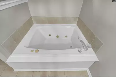 24 Marabou Court, Irmo, SC 29063 - Photo 20