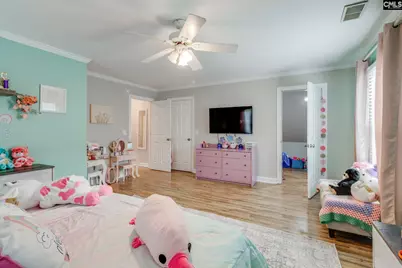 9 Winding Wood Court, Blythewood, SC 29016 - Photo 42