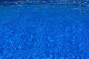 209 Vallejo Cir, Columbia, SC 29206 - Photo 38