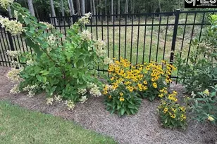 150 Stewart Lndg Dr, Prosperity, SC 29127 - Photo 72