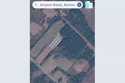 0 Bryant Road, Reevesville, SC 29471 - Photo 4